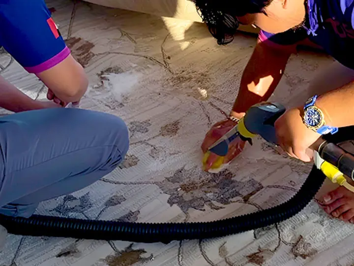Hot water extraction tool on a patterned rug