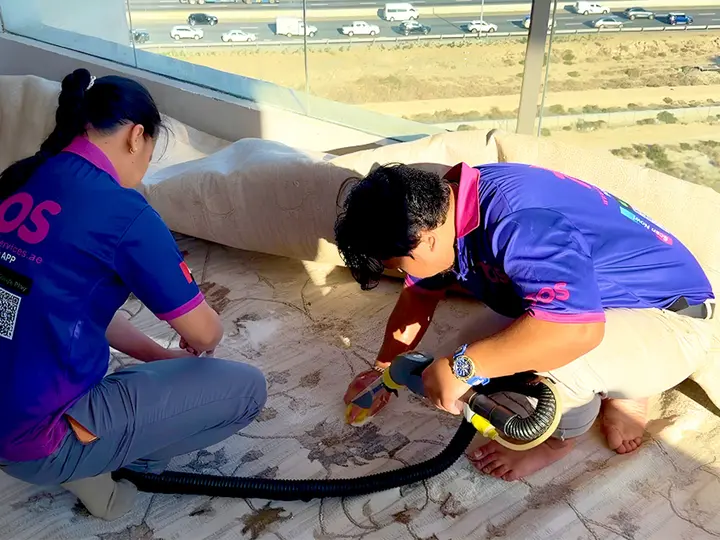 TopOne cleaners at work on a rug