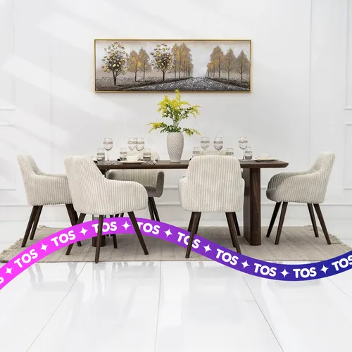 Set of 6 Dinner Chairs Cleaning Service